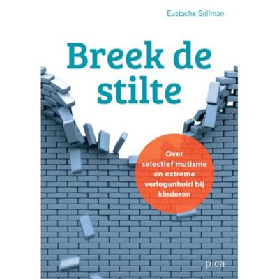 Breek de stilte (Paperback)