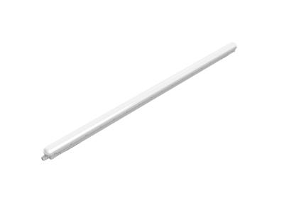 Philips LED ProjectLine Lamp voor vochtige ruimte LED 53 W Neutraalwit Wit