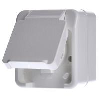 Merten 4074943 AquaStar Compleet Wandcontactdoos met randaarde en klapdeksel spatwaterdicht Polar-wit 1-voudig 1 stuk(s)