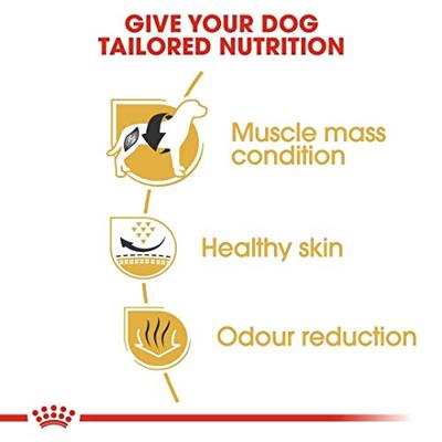 Royal Canin French Bulldog Adult hondenvoer 9kg - thumbnail