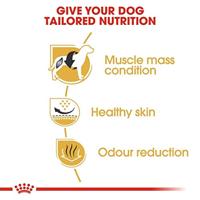 Royal Canin Adult Franse Bulldog hondenvoer 2 x 9 kg - thumbnail