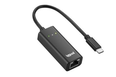 Netwerk adapter iggual IGG317693