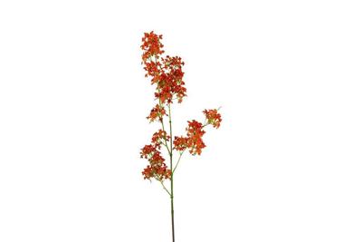 Decostar zijdebloem Matthiola 120 cm oranje