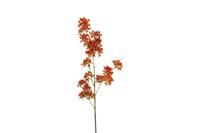 Decostar zijdebloem Matthiola 120 cm oranje - thumbnail