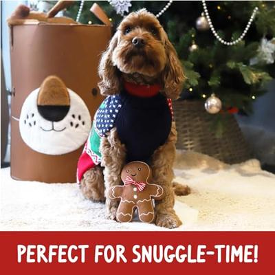 Cupid & Comet Peperkoek Kerst Hond Cadeaupakket met Trui, Speelgoed & Treats (Med - 50cm)
