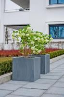 Pottery Pots Naturel Block 40x40x40 cm grijs vierkante plantenbak - thumbnail