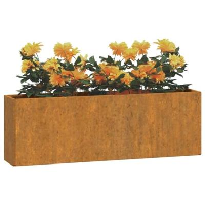 VidaXL Plantenbakken wandmontage 2 st 53x10x17 cm cortenstaal roestig