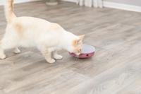 Trixie cat activity rocking maze kunststof - thumbnail