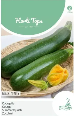 Courgette Black Beauty Verte De Milan - Hortitops - thumbnail