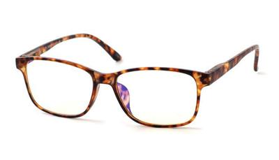 Leesbril INY Bluebreaker-Havanna -+2.00