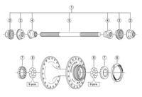 Shimano Stainless Steel Balls 1/4" (18 pieces) - thumbnail