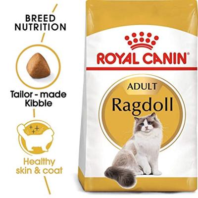 Royal Canin Adult Ragdoll kattenvoer 10 kg