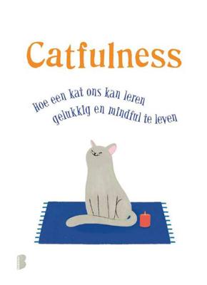 Catfulness - Paolo Valentino - Hardcover (9789022581216) Catfulness - Paolo Valentino - Hardcover (9789022581216)