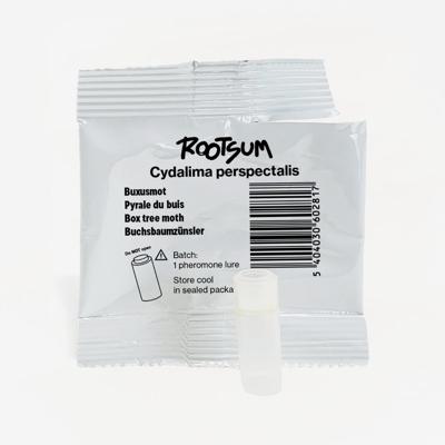 BUXUSMOT FEROMOON | Cydalima perspectalis BUXUSMOT FEROMOON | Cydalima perspectalis