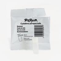 BUXUSMOT FEROMOON | Cydalima perspectalis - thumbnail