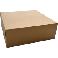 Biodore Gebaksdoos Zwanenhalsdoos | kraftpapier | 30x30x9cm | per 10 verpakt | bruin | 50 stuks - thumbnail