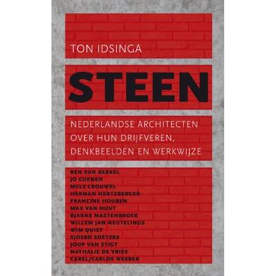 Steen - Ton Idsinga - Paperback (9789025366933)