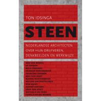 Steen - Ton Idsinga - Paperback (9789025366933) - thumbnail
