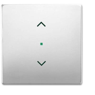 Busch-Jaeger 1-voudig Afdekking free@home RVS 2CKA006220A0415