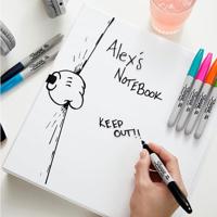 Sharpie Color Burst vilstiften set 24 kleuren - thumbnail