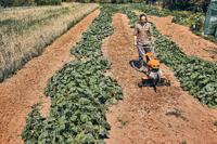 Stihl mh 600 (eu1) moturfrees - 62500113915 - thumbnail