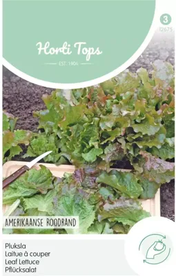 Zaden Pluksla Amerikaanse Roodrand Hortitops - Hortitops