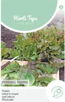 Zaden Pluksla Amerikaanse Roodrand Hortitops - Hortitops - thumbnail
