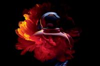 Hypnotic Poison Eau de Toilette - thumbnail