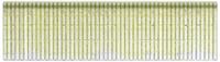 Bosch Accessoires Niet met smalle rug type 55 geharst 6 x 1,08 x 16 mm 3000st - 2609200225 - thumbnail