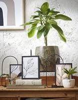 Mica Decorations Oliver Bloempot - H26 x Ø29 cm - Terracotta - Groen - thumbnail