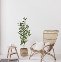Ficus Exotica Kunstplant NT 100cm - thumbnail
