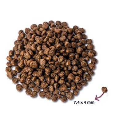 RENSKE ADULT MINI VERSE KIP / LAM