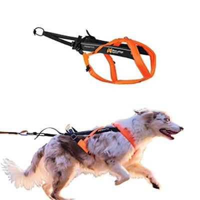 Non-stop dogwear® Trektuig Freemotion Harness 5.0, zwart/oranje, Maat: 6