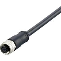 ifm Electronic E12502 Aansluitkabel Aantal polen (sensoren): 12 Bus, recht 5 m 1 stuk(s) - thumbnail