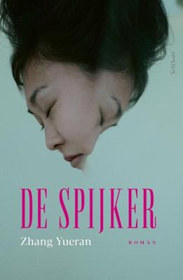 De spijker (Paperback)