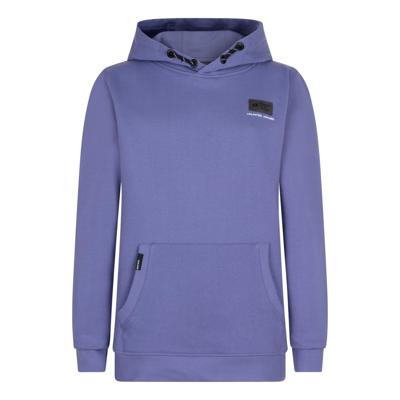 Hoodie INDN BLUE Purple Ash