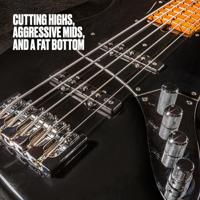 Dunlop DBSBS40100 Super Bright SS Light 40-100 snarenset voor basgitaar - thumbnail