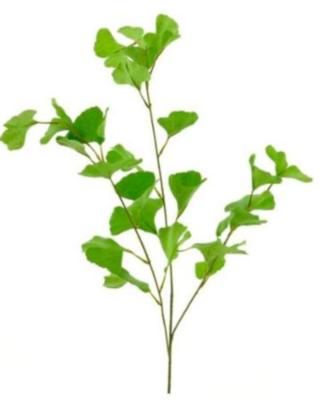 Gingko spray groen 90cm Gingko spray groen 90cm