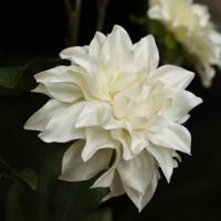 Dahlia Kunsttak deluxe 78cm Creme - thumbnail