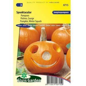 Pompoenzaden Halloween