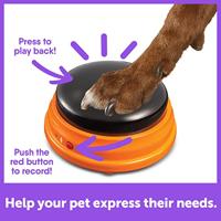 HUNGER FOR WORDS TALKING PET STARTER SET - thumbnail