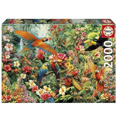 Puzzel Educa Vogels 2000 Onderdelen