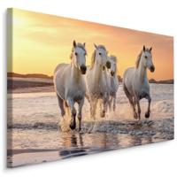 Schilderij - Galopperende paarden op het strand, multi-gekleurd, 4 maten, wanddecoratie - thumbnail