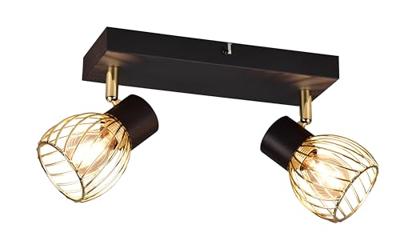 Trio PlafondlampArdon design 2-lichts - R81382080