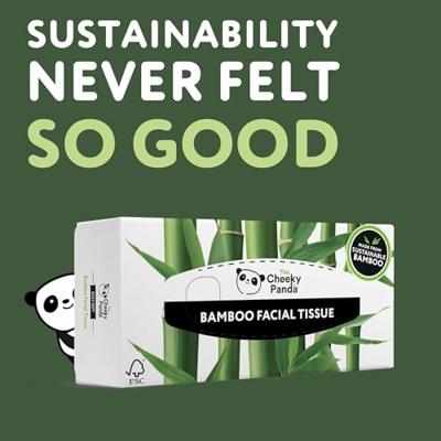 Cheeky Panda Tissues Box