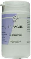 Holisan Trifagul Tabletten 120st - thumbnail