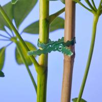 Bindband met rattenstaartsluiting 25m Nature - Nature - thumbnail