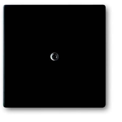 Busch-Jaeger 2CKA001710A3896 TAE-contactdoos Afdekking Future lineair Diepzwart (RAL 9005), Zwart 1 stuk(s)