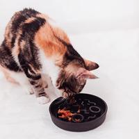 District 70 Bamboo slowfeeder donkergrijs voor de kat Per stuk - thumbnail