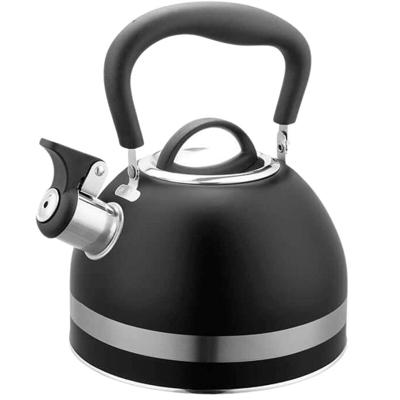 Maestro MR-1336 (MR-1336-BLACK) fluitketel 1,8 l Zwart